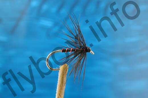 Fish4Flies Black Spider
